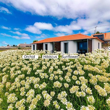 Ourmadeira - Quinta Inacia, Countryside Escape Apartment Calheta  Bagian luar foto